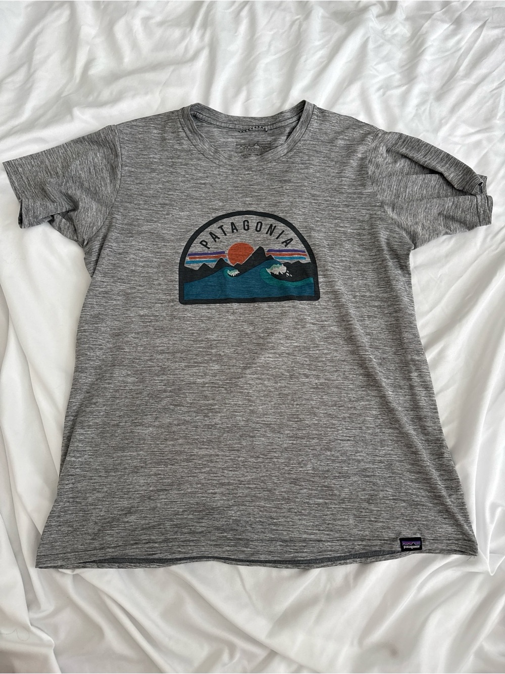 Patagonia Heather Gray Graphic Crew Tee with Sunset Mountain Patch